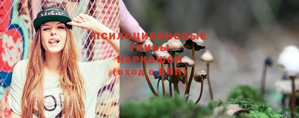 молекула духа Нефтекумск