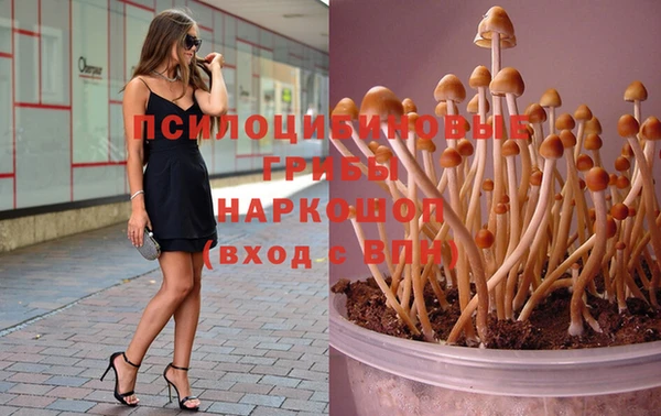 герыч Новозыбков