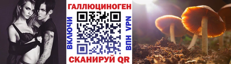 Галлюциногенные грибы Cubensis  Калининск 